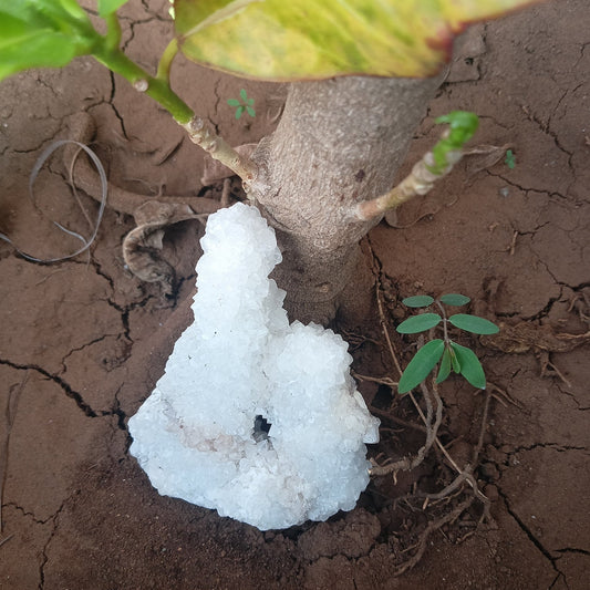 Nature's White Energy Spire