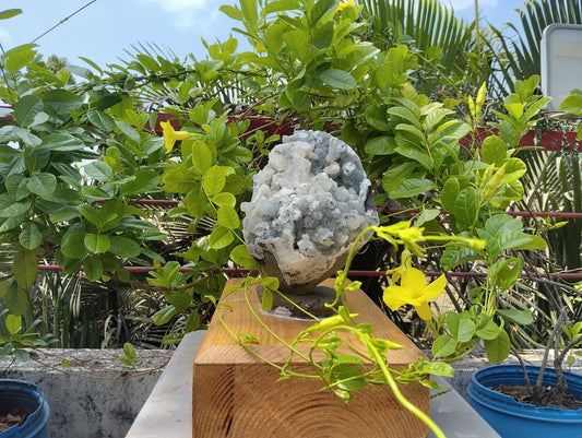 Aura Amplifires (Glossy Apophyllite with quartz Matrix)