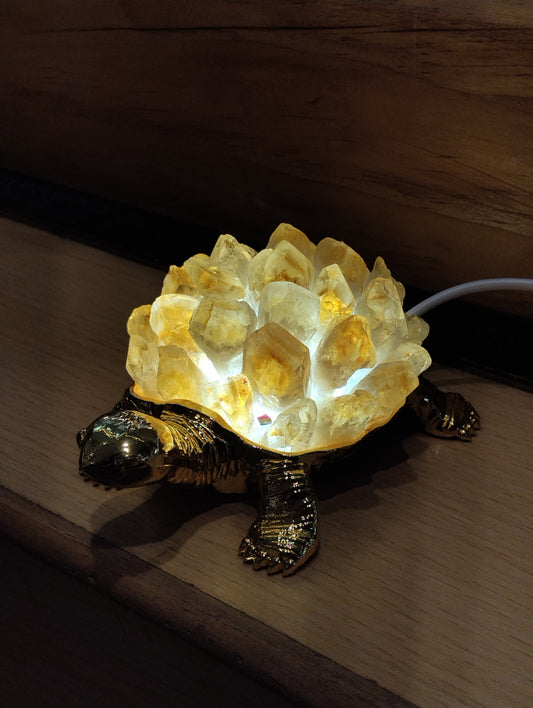 Shell of Light – Citrine Tortoise Lamp