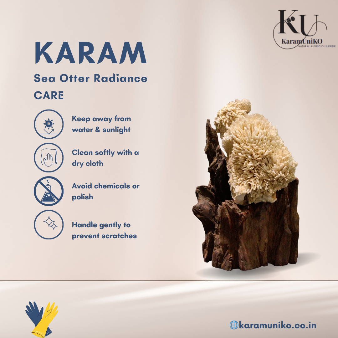 Karam Sea Otter Radiance