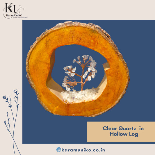 Clear Quartz Crystal Tree in Hollow Log