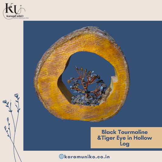 Black Tourmaline & Tiger Eye in Hollow Log