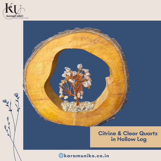 Citrine & Clear Quartz Crystal Tree in Hollow Log