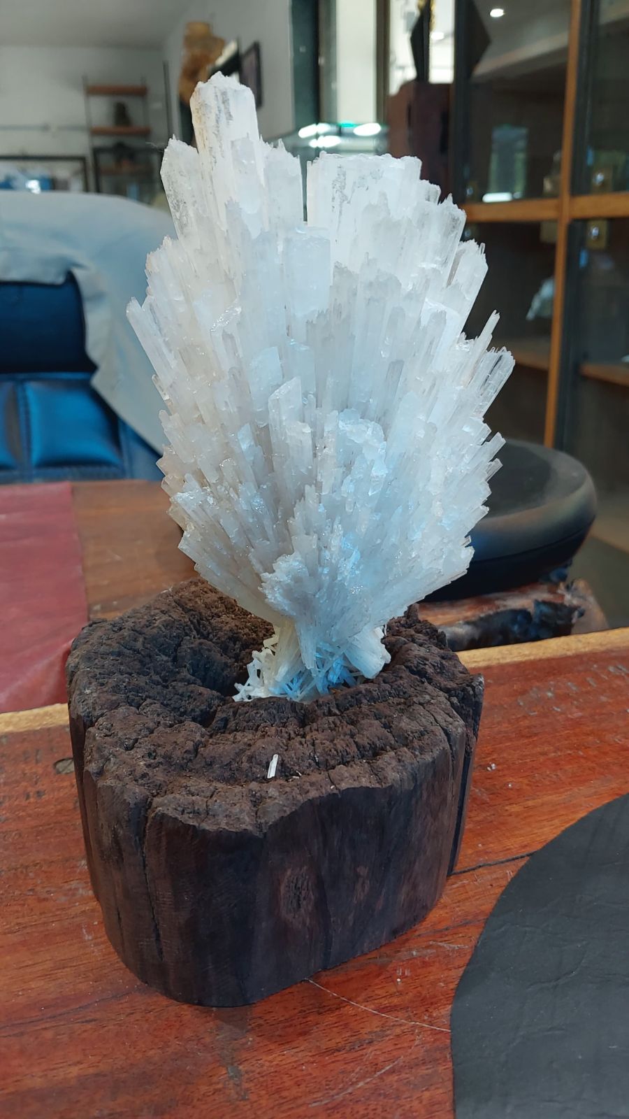 Divine Bloom Selenite Cluster on Wooden Base