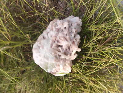 Crystalline Petals of Peace