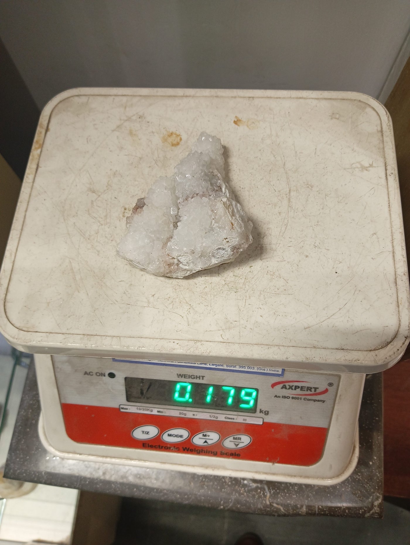 Nature's Whisper in White