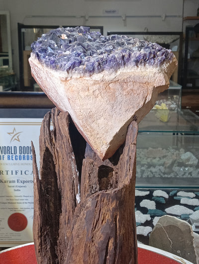 Diamond Amethyst Crown