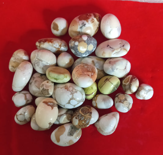 Polished Jasper Tumble Stones – Natural Earth Tones