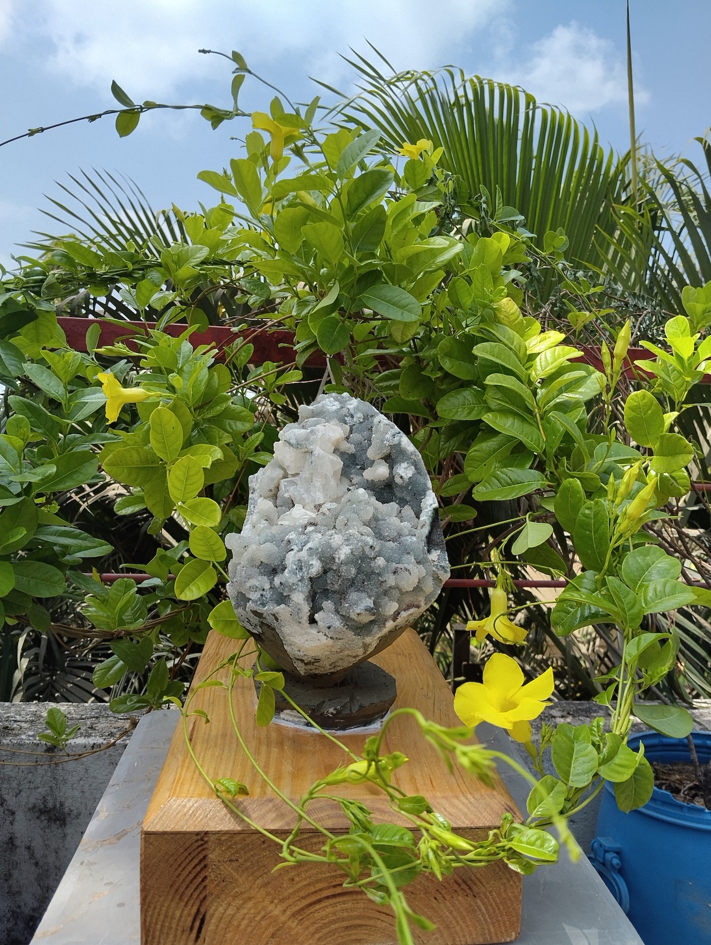 Aura Amplifires (Glossy Apophyllite with quartz Matrix)