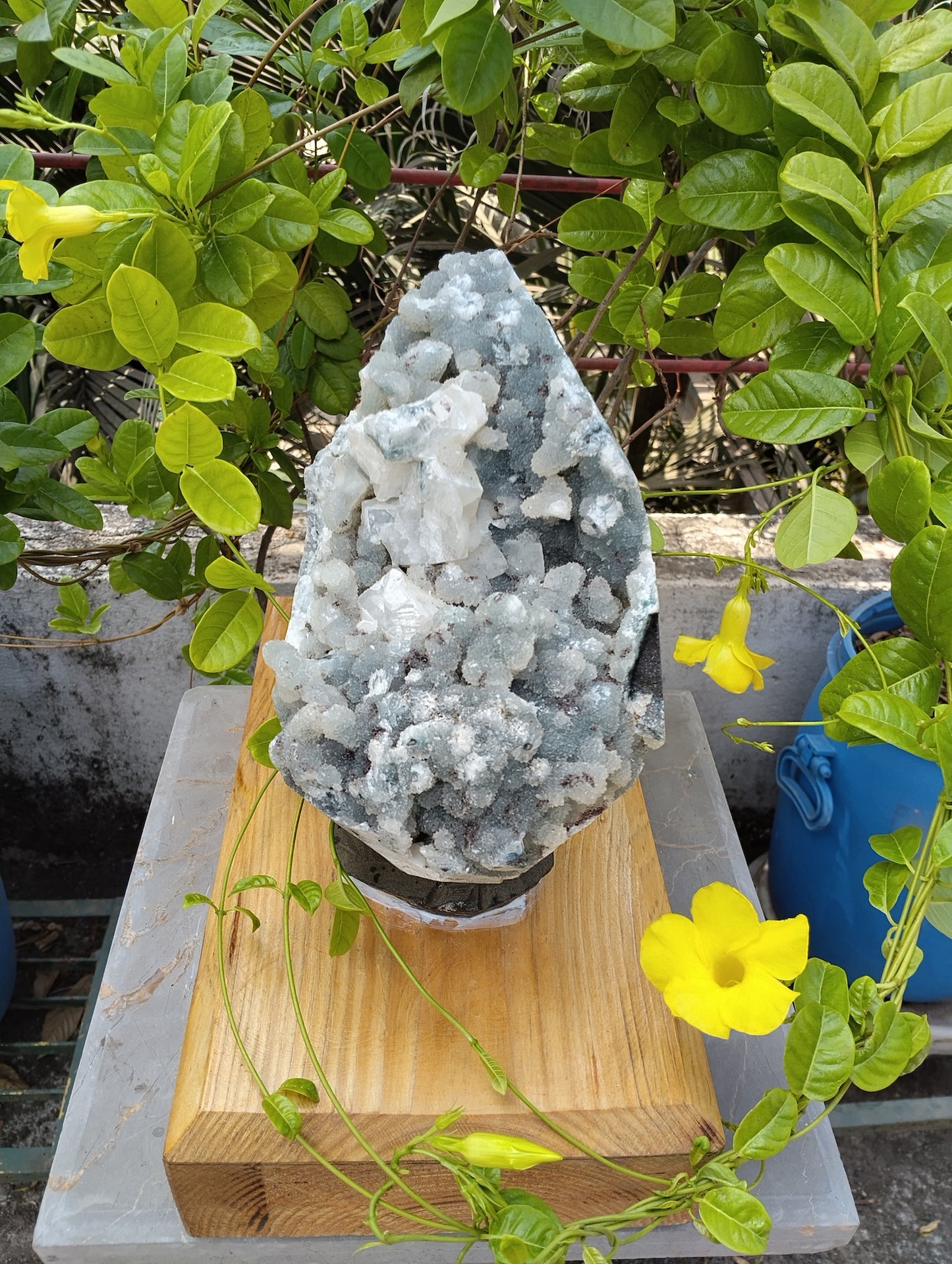 Aura Amplifires (Glossy Apophyllite with quartz Matrix)