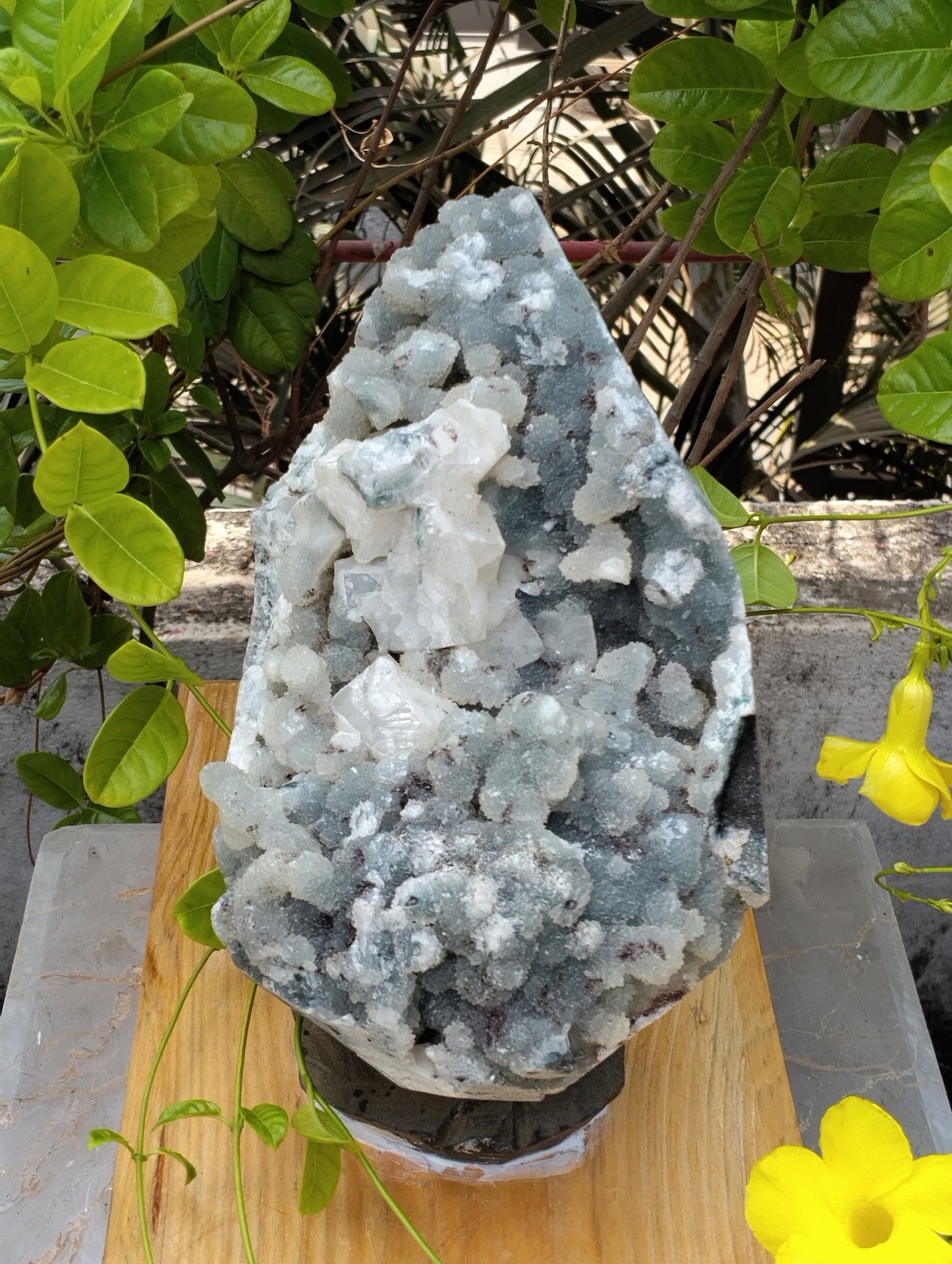 Aura Amplifires (Glossy Apophyllite with quartz Matrix)