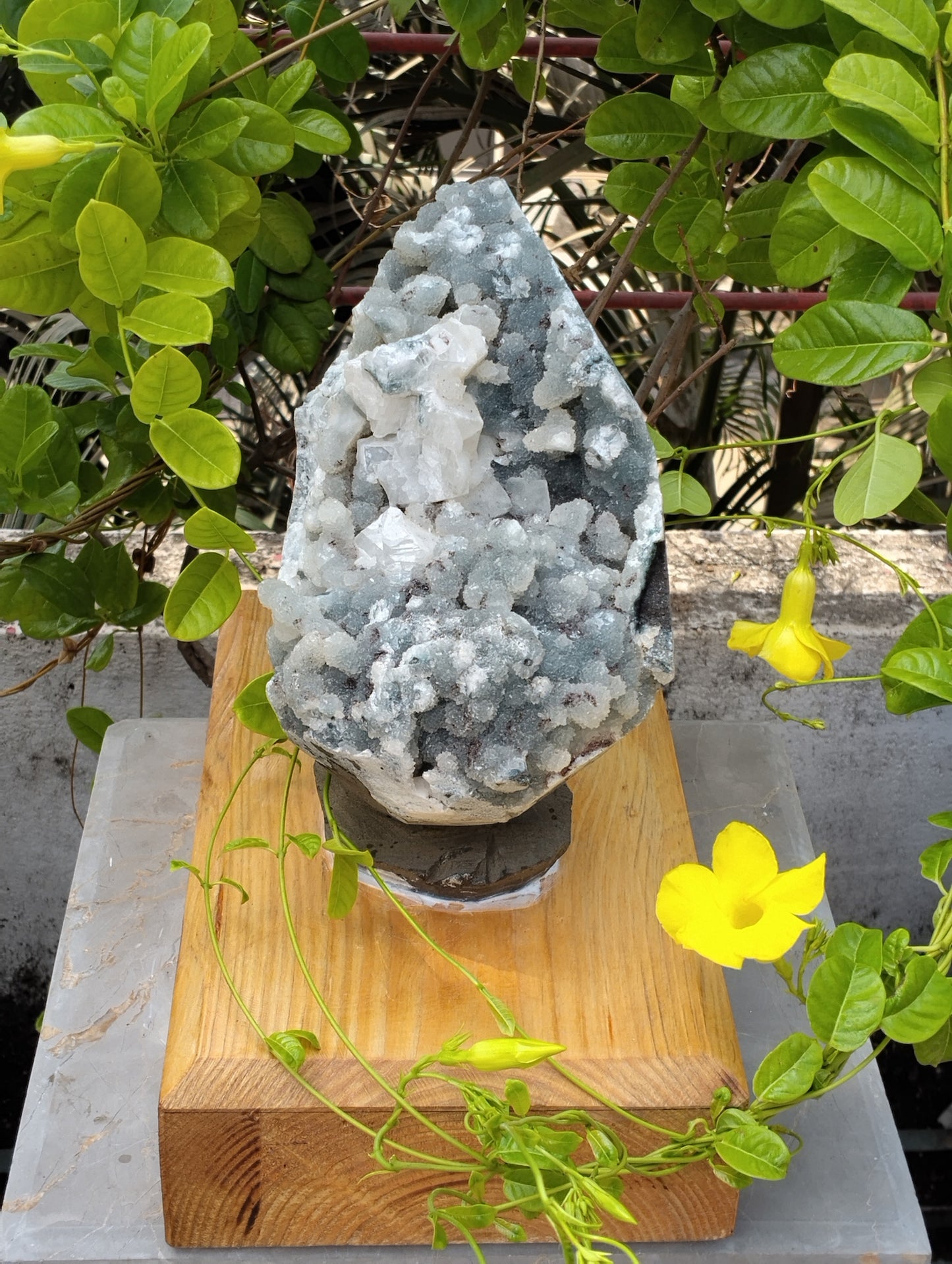 Aura Amplifires (Glossy Apophyllite with quartz Matrix)