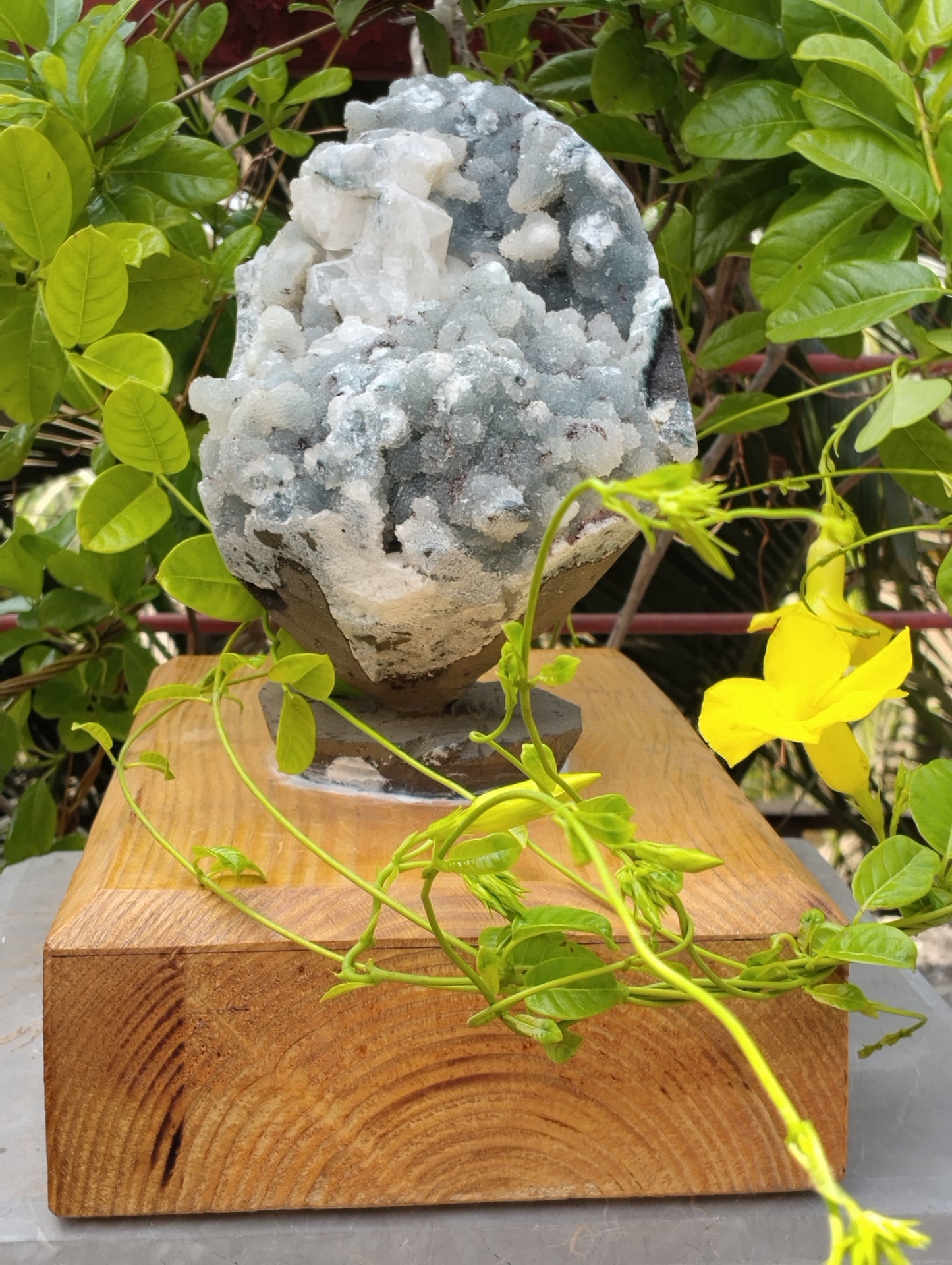 Aura Amplifires (Glossy Apophyllite with quartz Matrix)