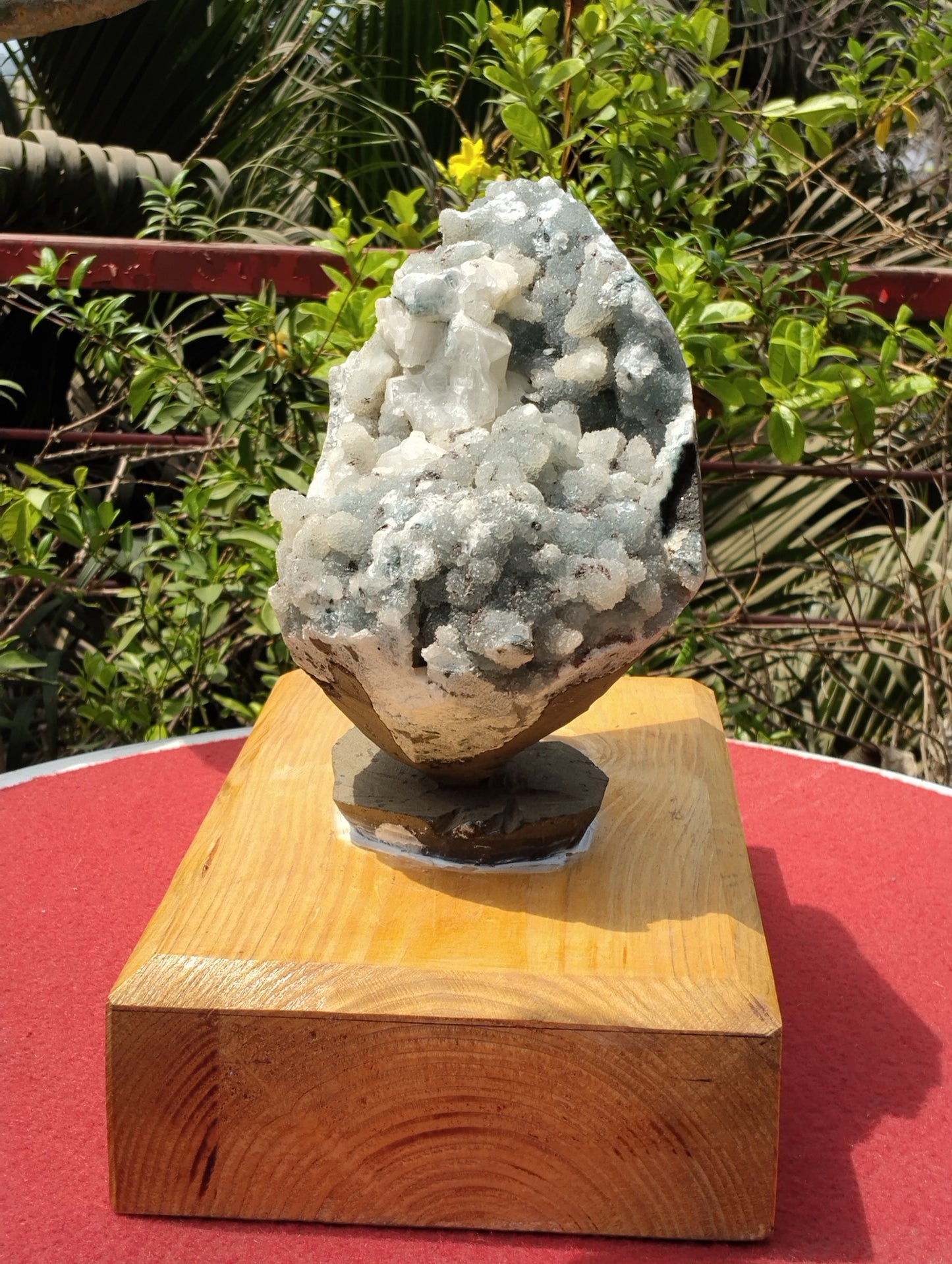 Aura Amplifires (Glossy Apophyllite with quartz Matrix)