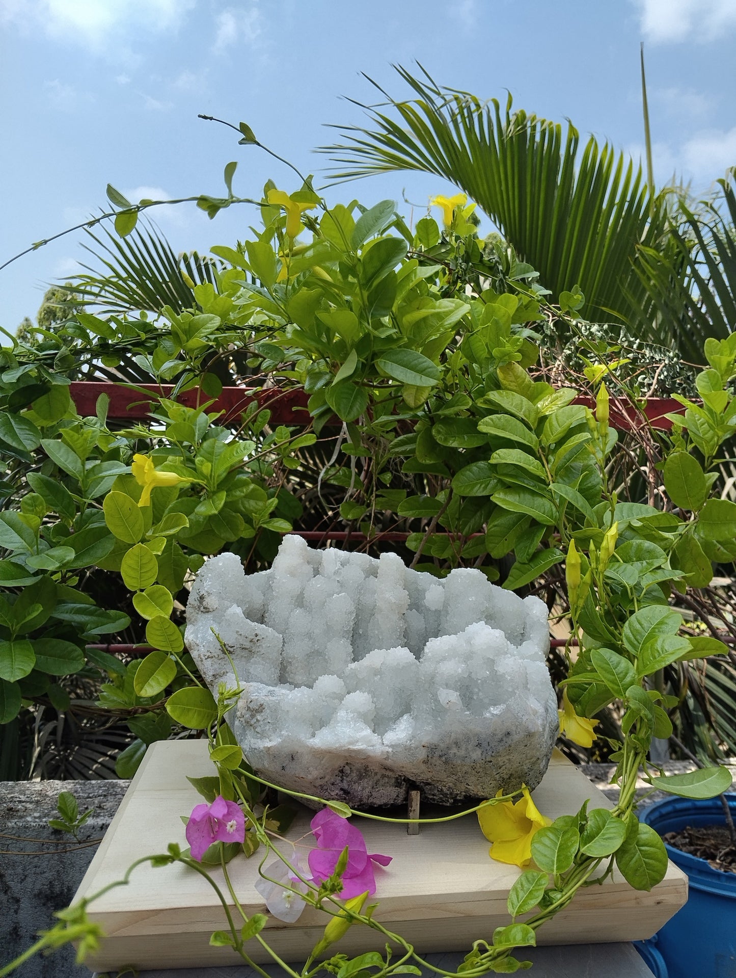 Crystal Blossom Heaven (Apophyllite Tube Matrix)