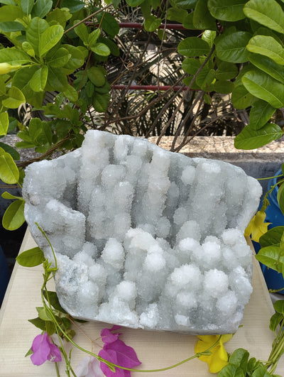 Crystal Blossom Heaven (Apophyllite Tube Matrix)