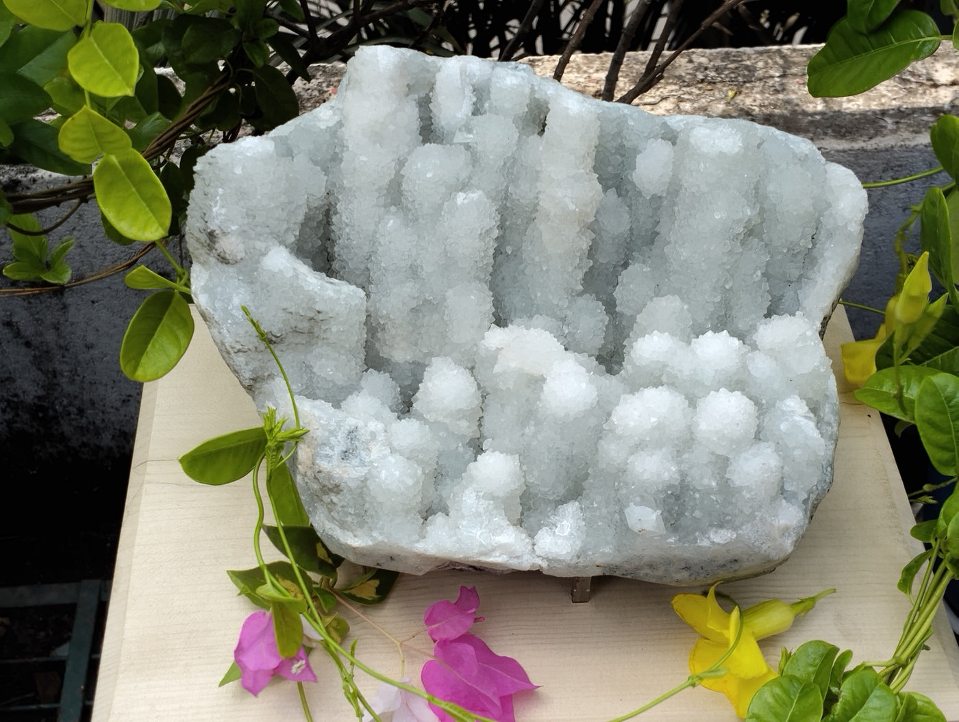 Crystal Blossom Heaven (Apophyllite Tube Matrix)