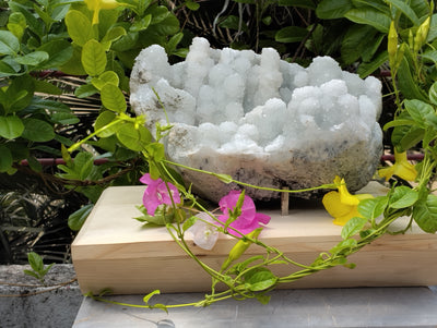 Crystal Blossom Heaven (Apophyllite Tube Matrix)