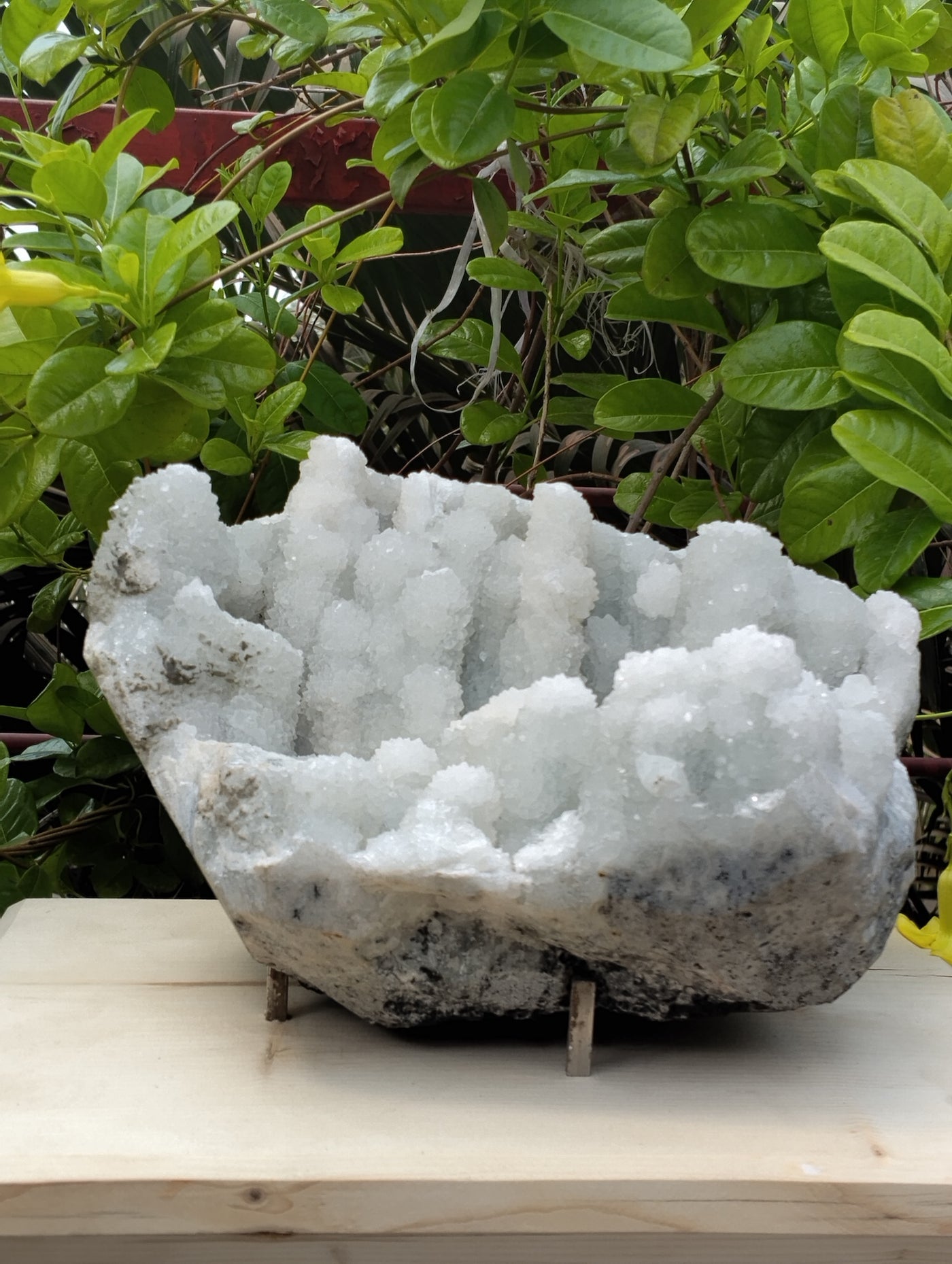 Crystal Blossom Heaven (Apophyllite Tube Matrix)