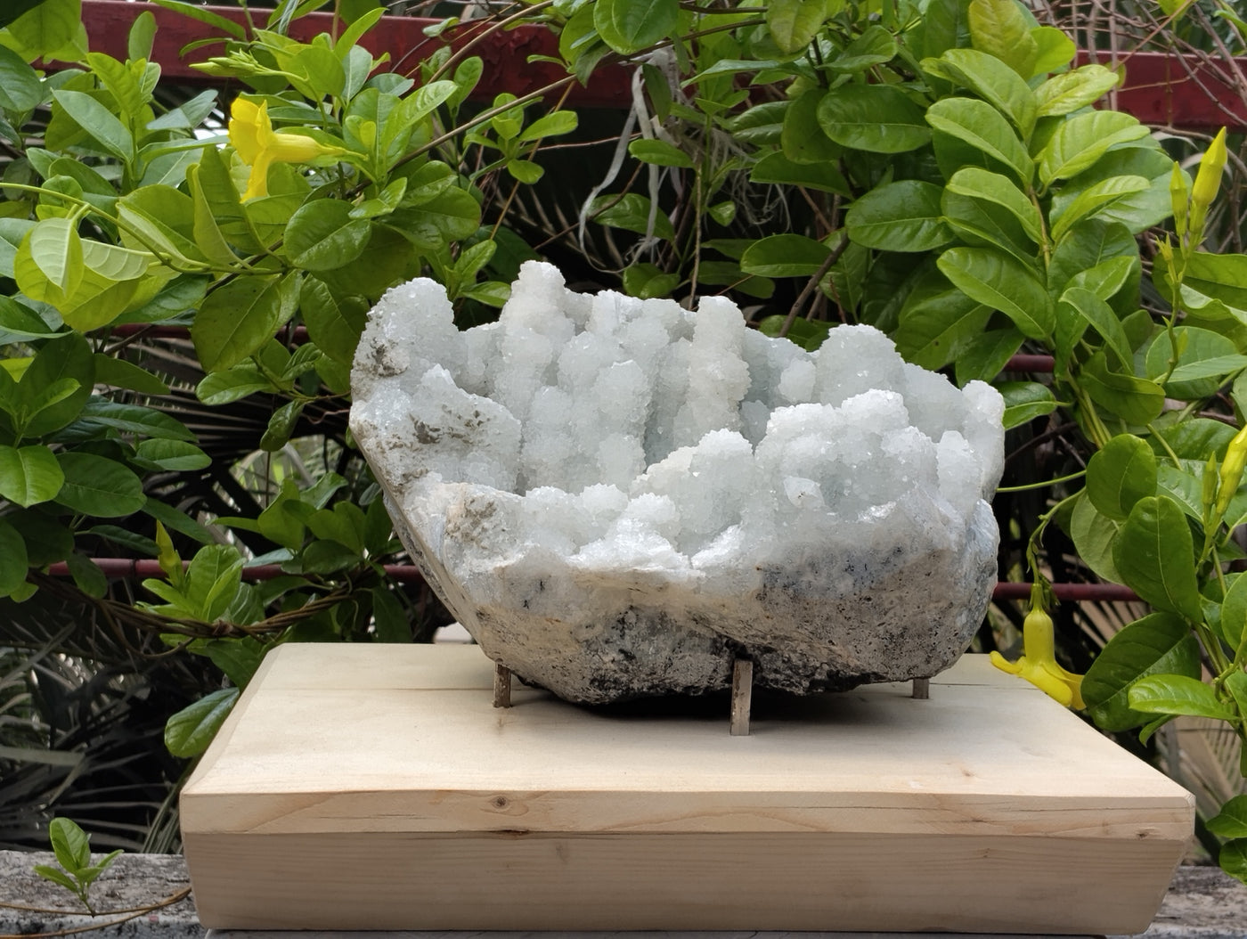 Crystal Blossom Heaven (Apophyllite Tube Matrix)
