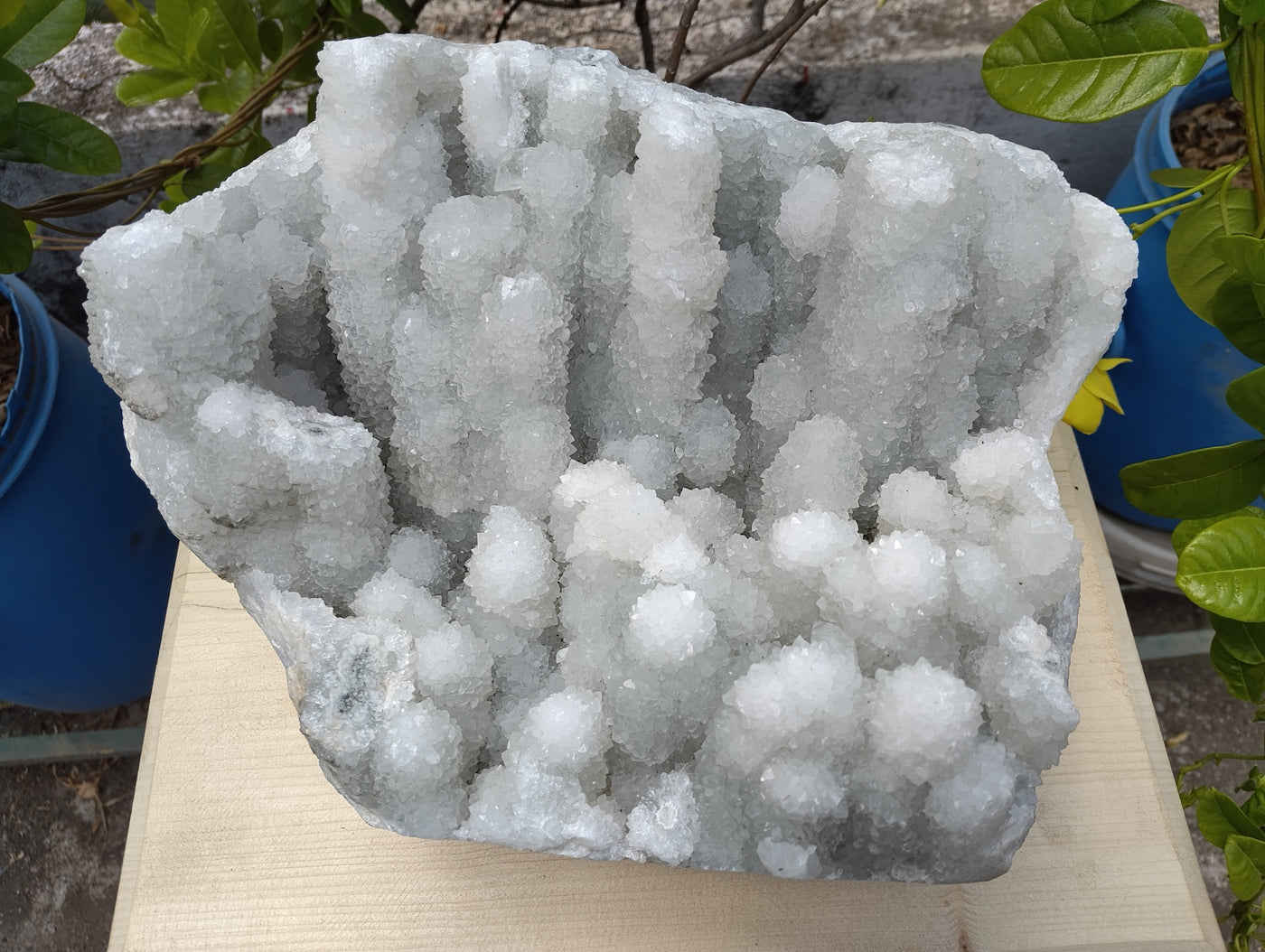 Crystal Blossom Heaven (Apophyllite Tube Matrix)
