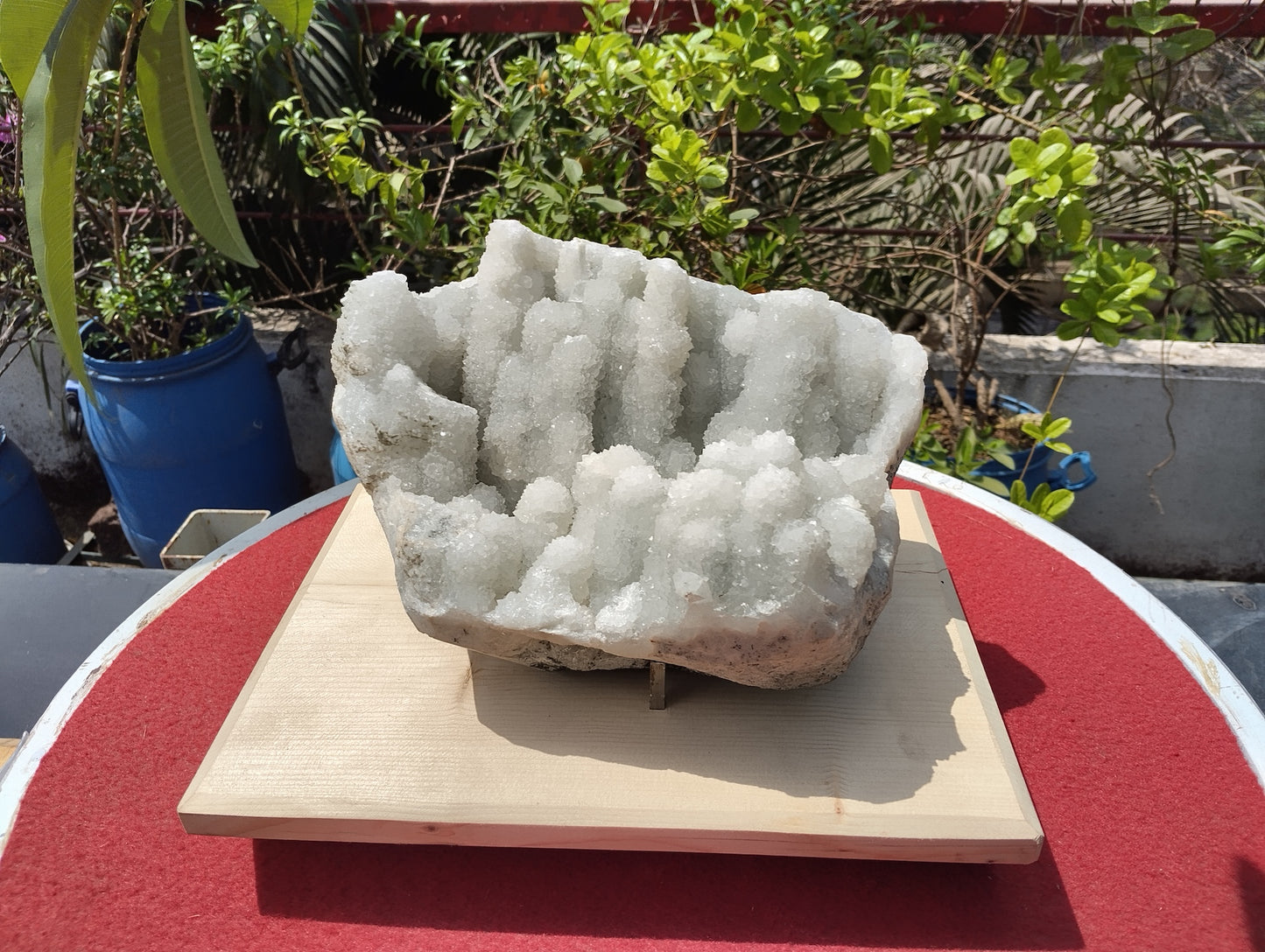 Crystal Blossom Heaven (Apophyllite Tube Matrix)