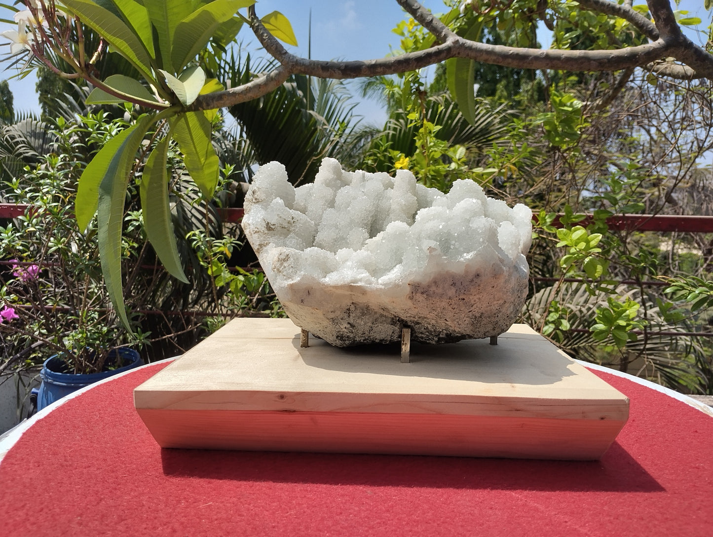 Crystal Blossom Heaven (Apophyllite Tube Matrix)