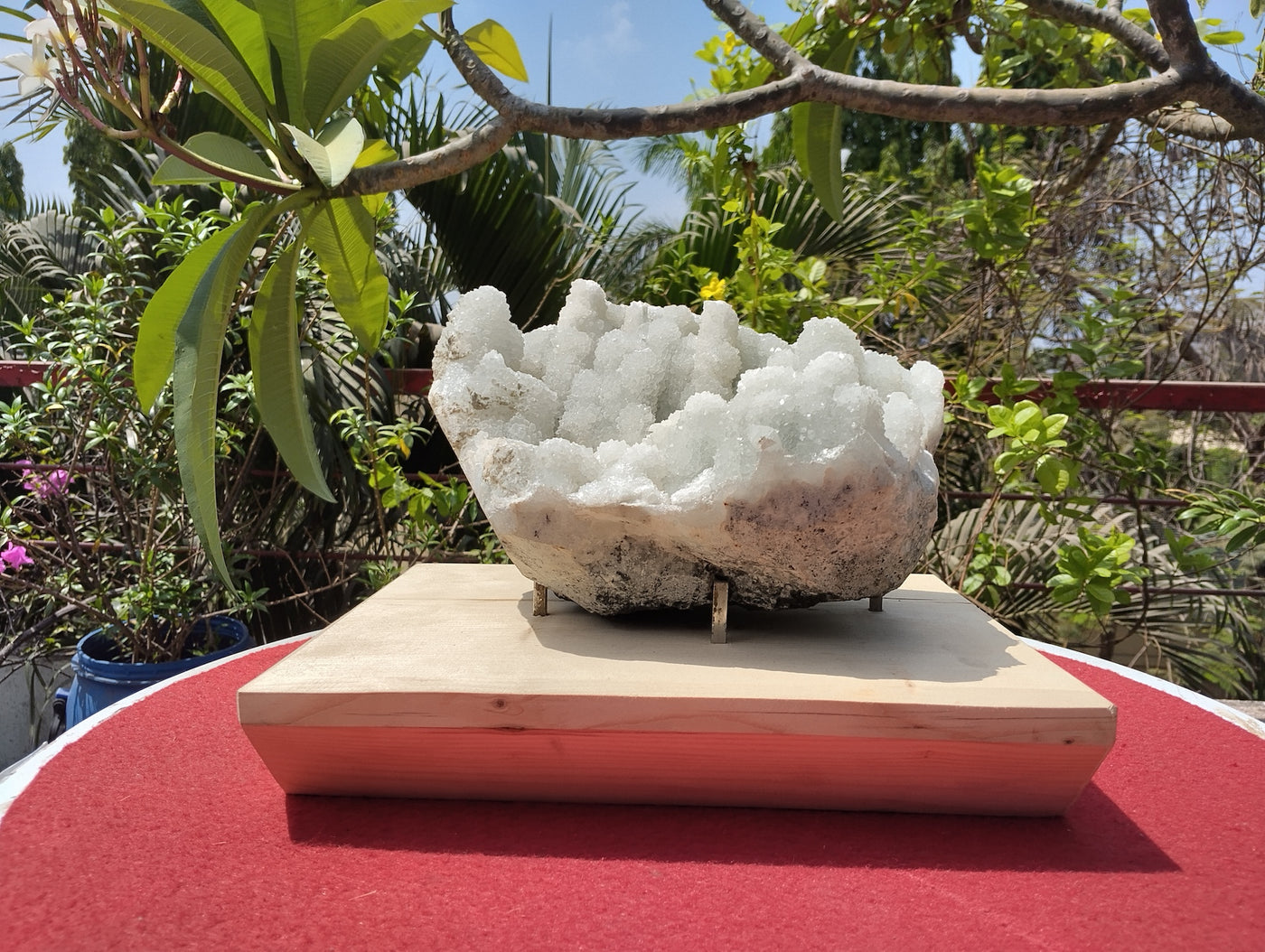 Crystal Blossom Heaven (Apophyllite Tube Matrix)