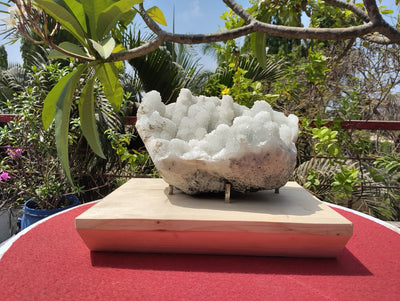 Crystal Blossom Heaven (Apophyllite Tube Matrix)