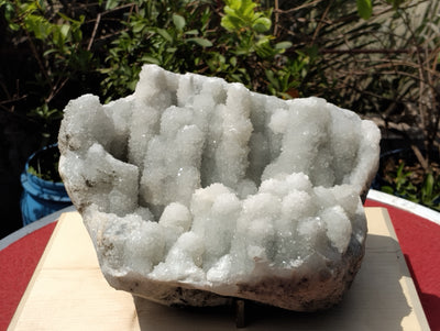 Crystal Blossom Heaven (Apophyllite Tube Matrix)
