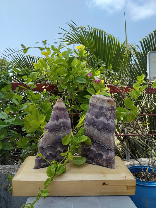 Gemstone Gaurdians (Amethyst)