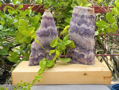 Gemstone Gaurdians (Amethyst)