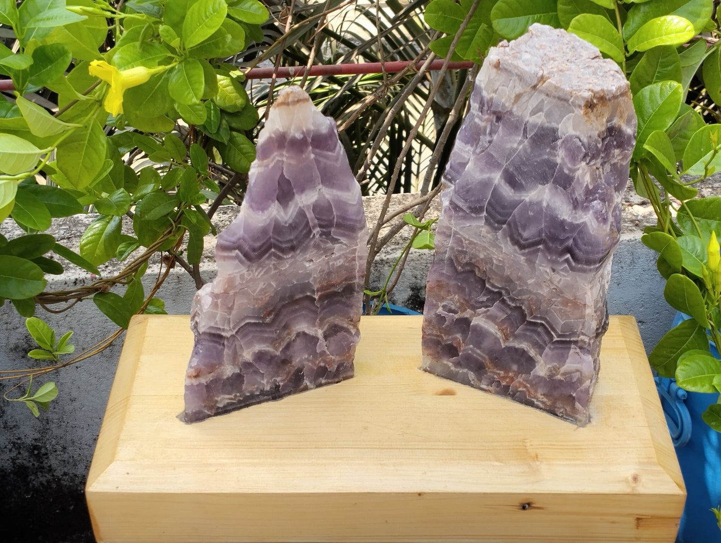 Gemstone Gaurdians (Amethyst)