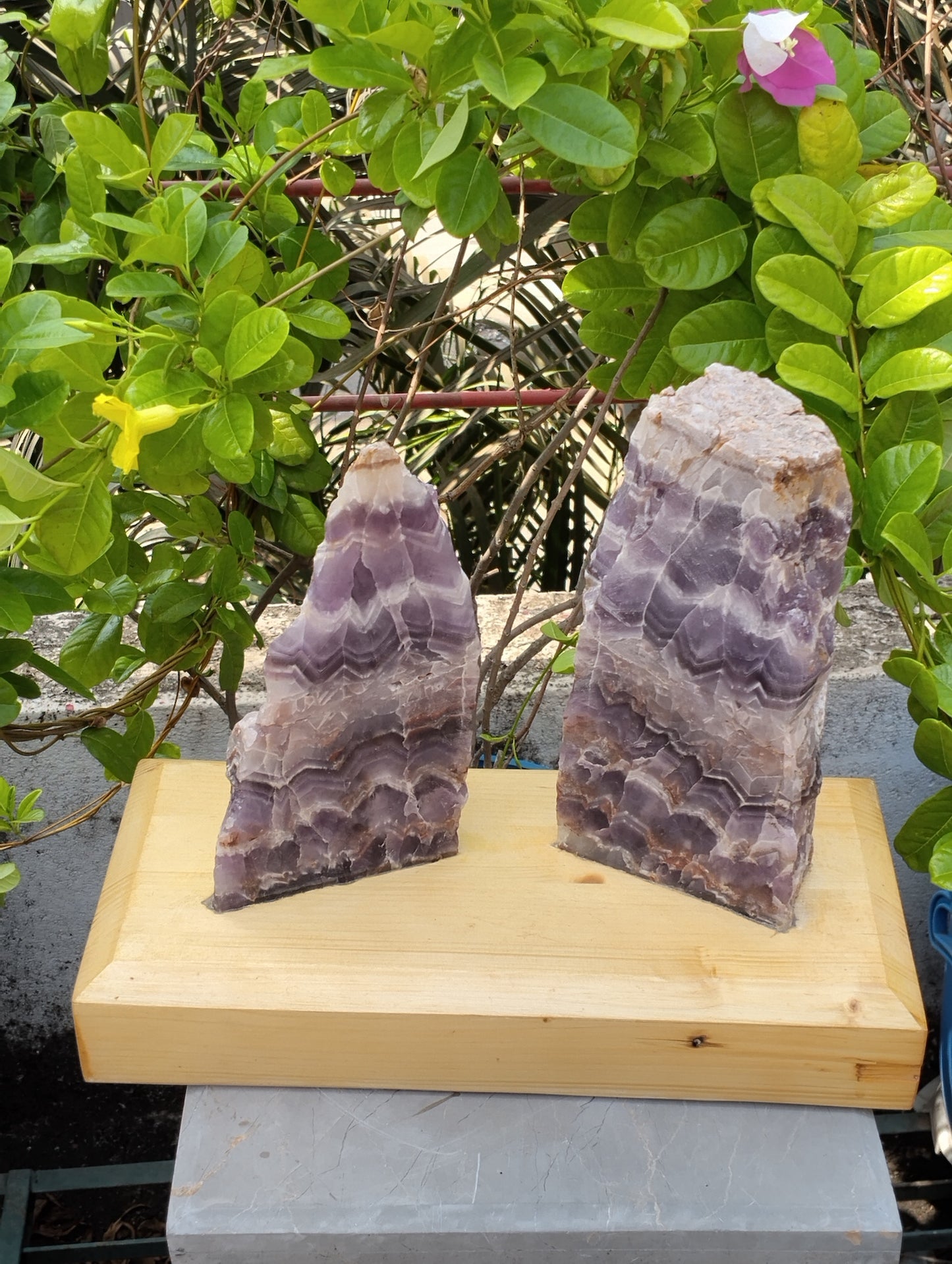 Gemstone Gaurdians (Amethyst)