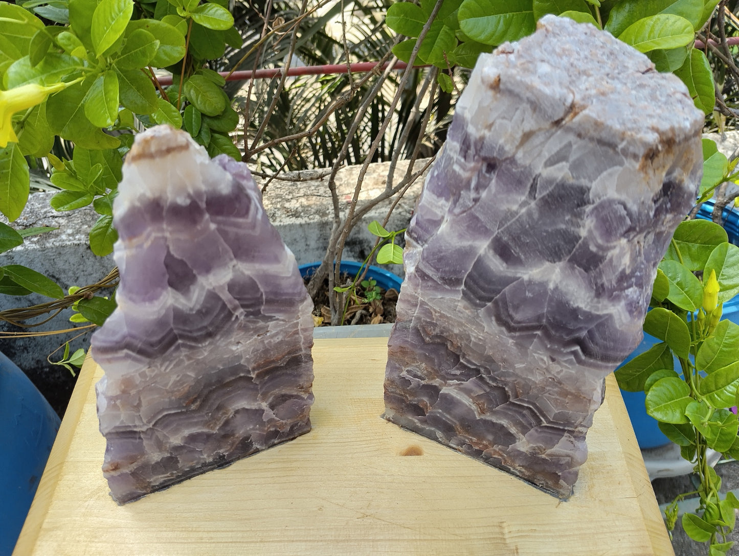 Gemstone Gaurdians (Amethyst)