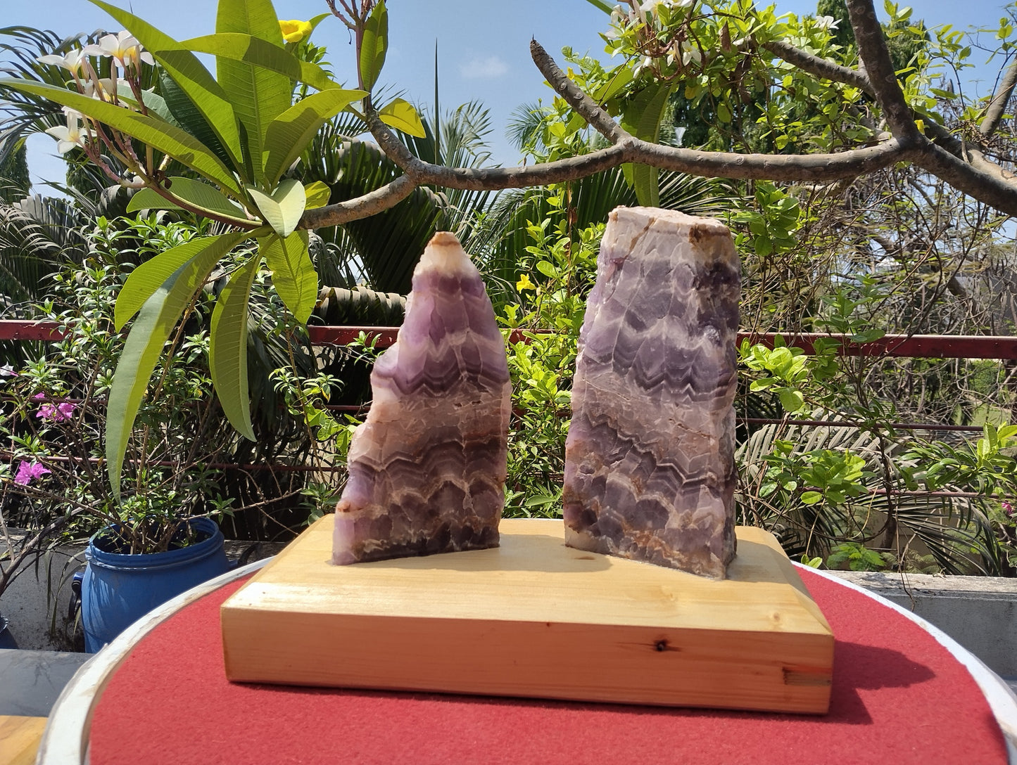 Gemstone Gaurdians (Amethyst)