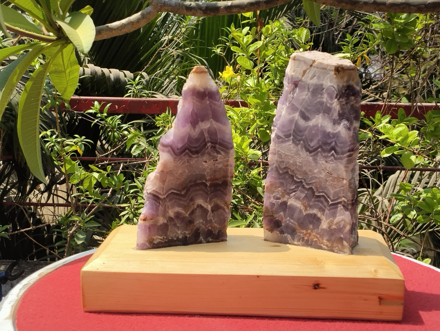 Gemstone Gaurdians (Amethyst)