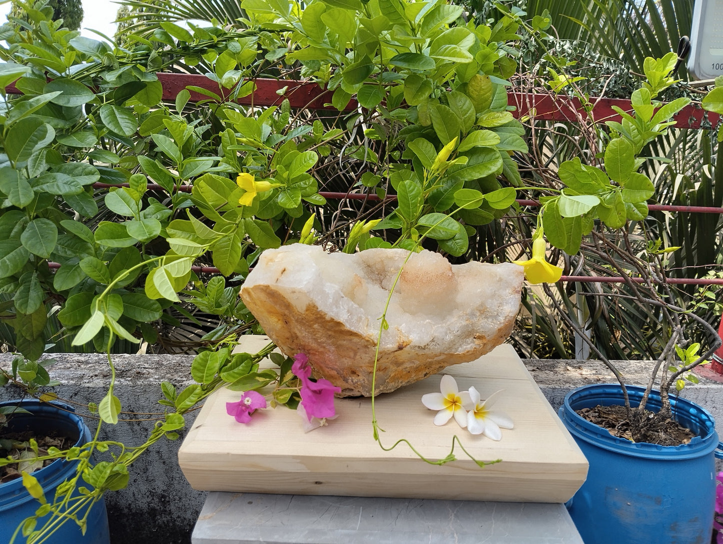 Shiva's Essence (Quartz in Matrix)