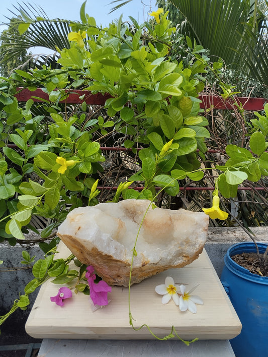 Shiva's Essence (Quartz in Matrix)