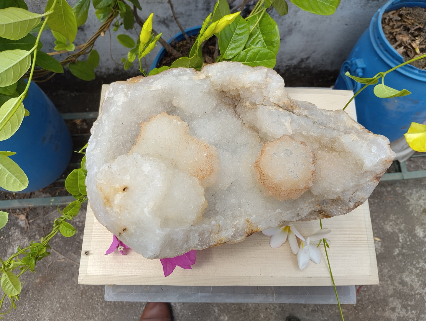 Shiva's Essence (Quartz in Matrix)