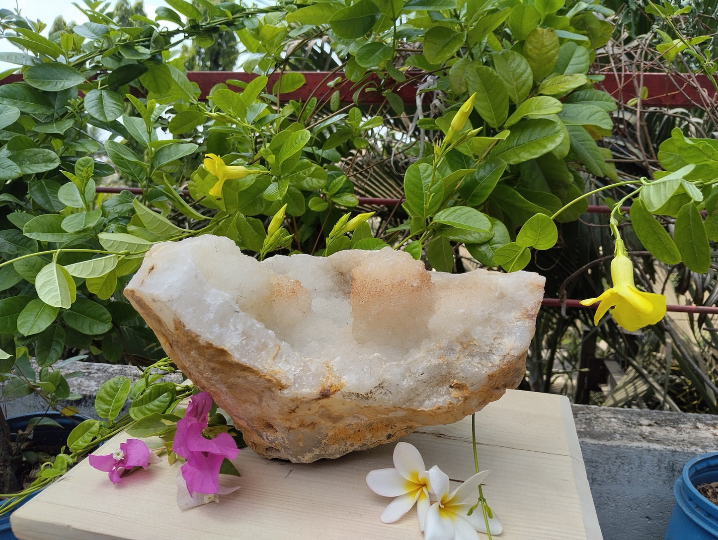 Shiva's Essence (Quartz in Matrix)