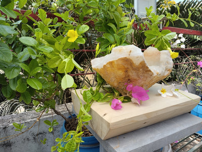 Shiva's Essence (Quartz in Matrix)