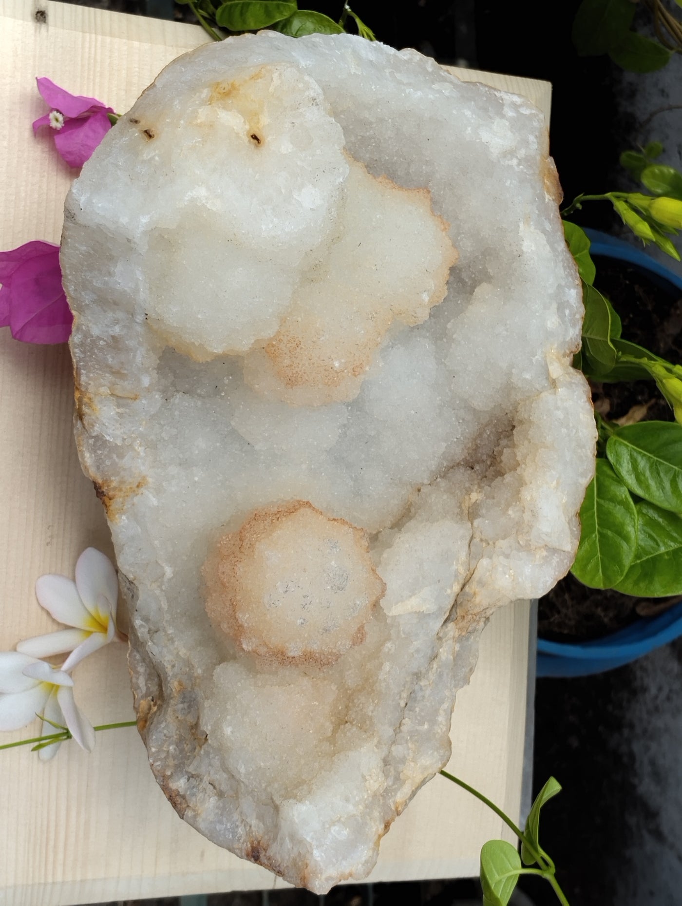 Shiva's Essence (Quartz in Matrix)