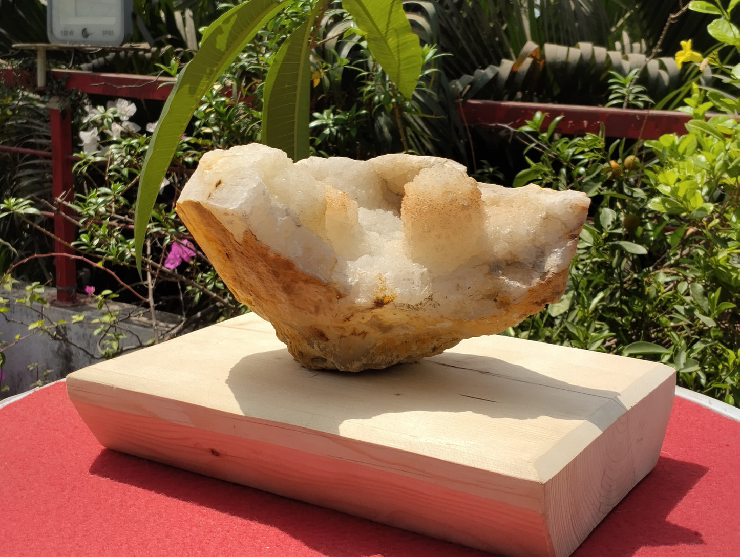 Shiva's Essence (Quartz in Matrix)