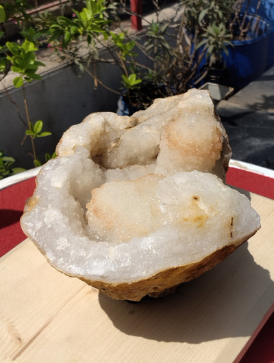 Shiva's Essence (Quartz in Matrix)