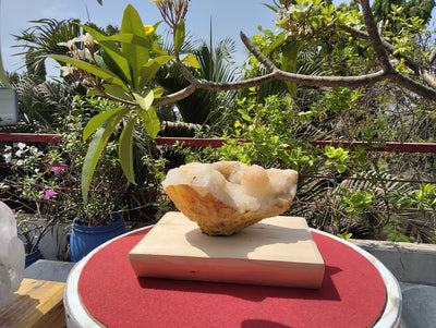 Shiva's Essence (Quartz in Matrix)