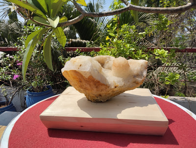 Shiva's Essence (Quartz in Matrix)