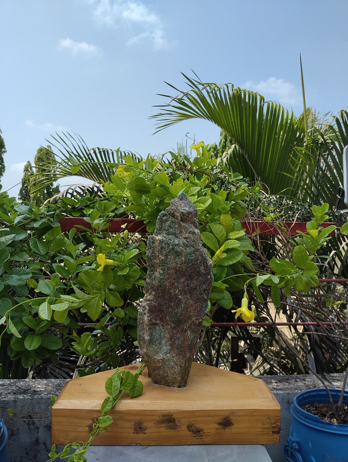 Zoisite Ascend (Green Zoisite)