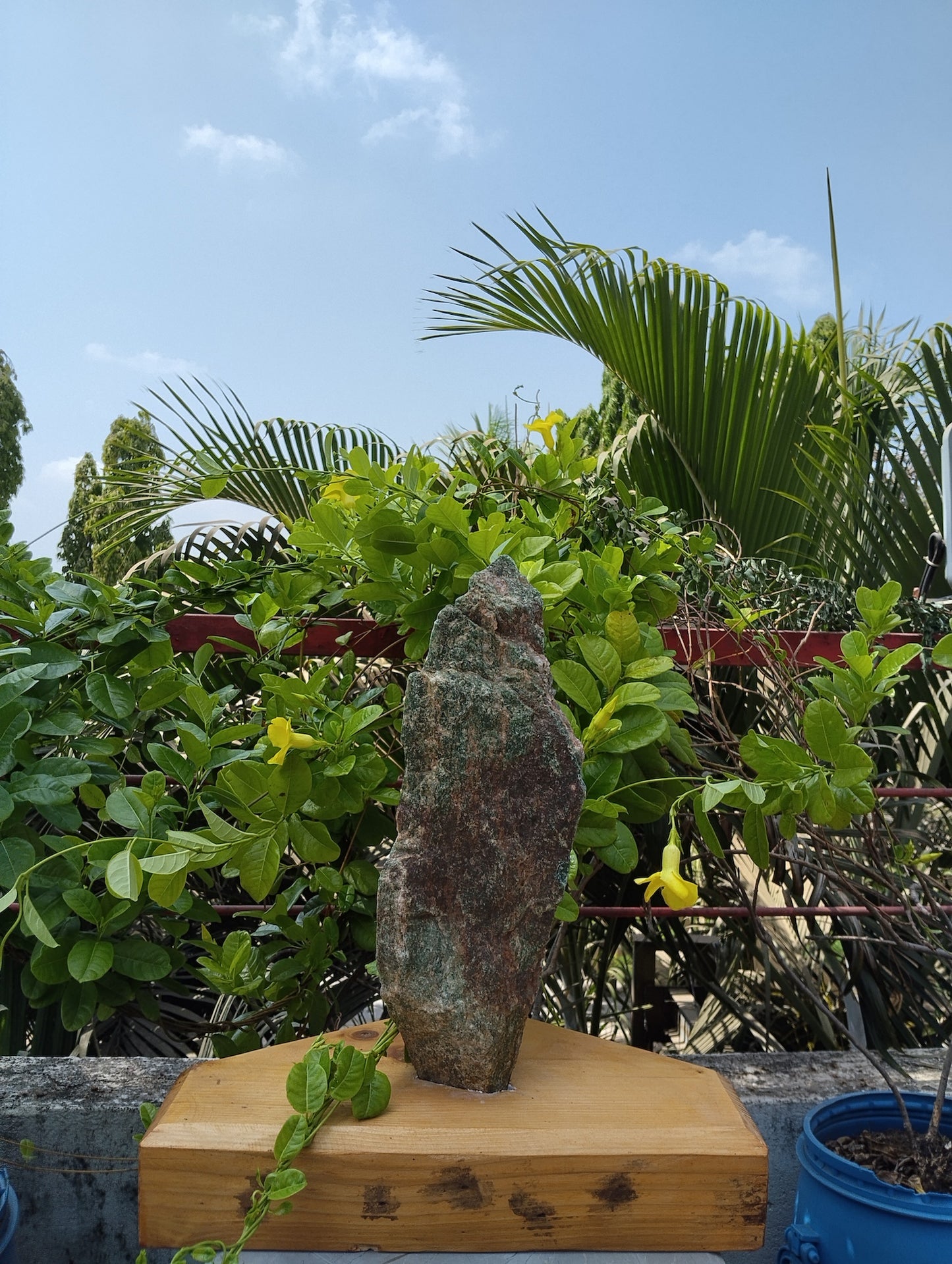 Zoisite Ascend (Green Zoisite)