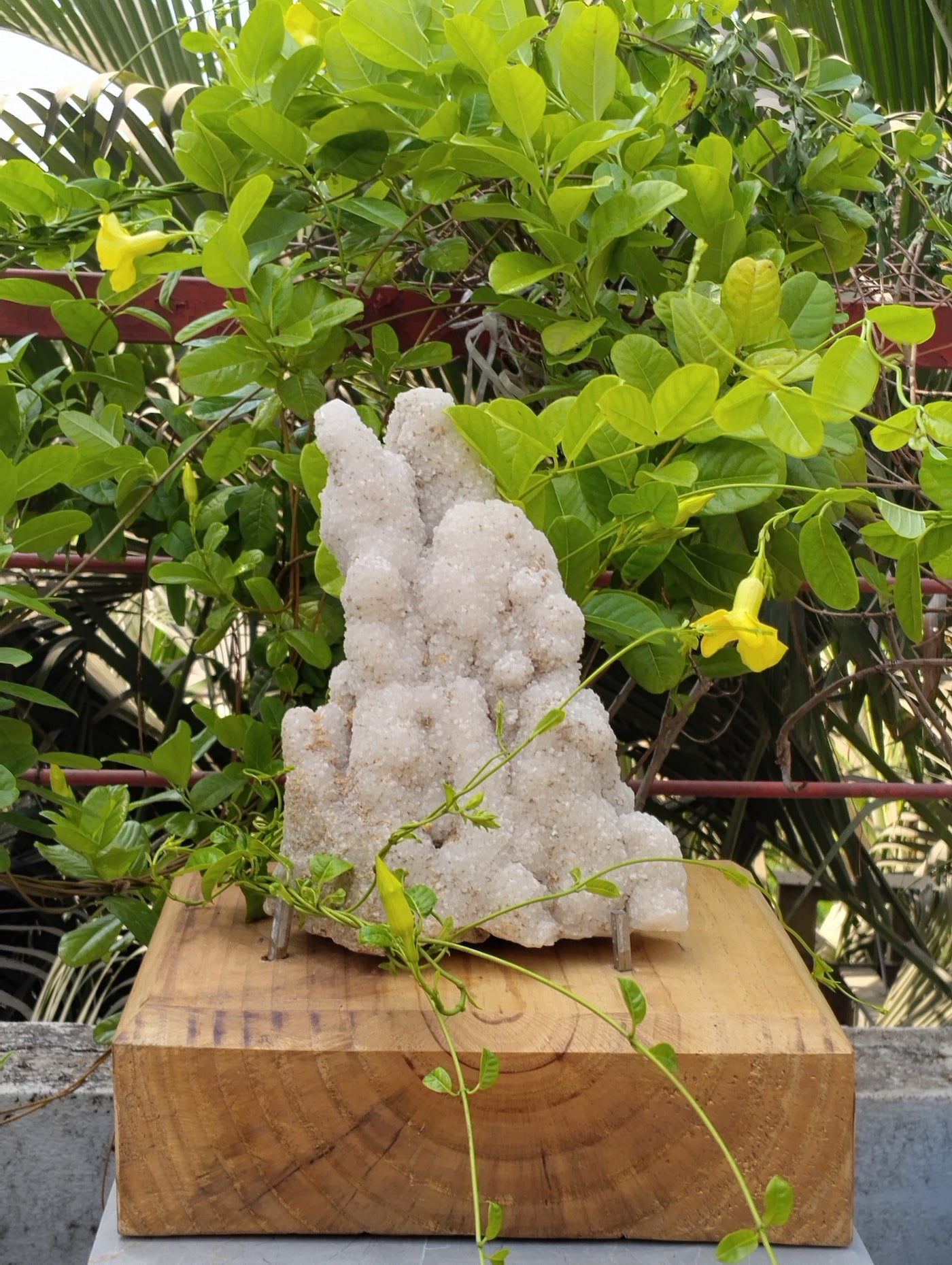 Symphony Of Quartz (Quartz Stalctite)